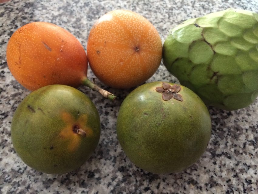 Trio of Fruit from Peru