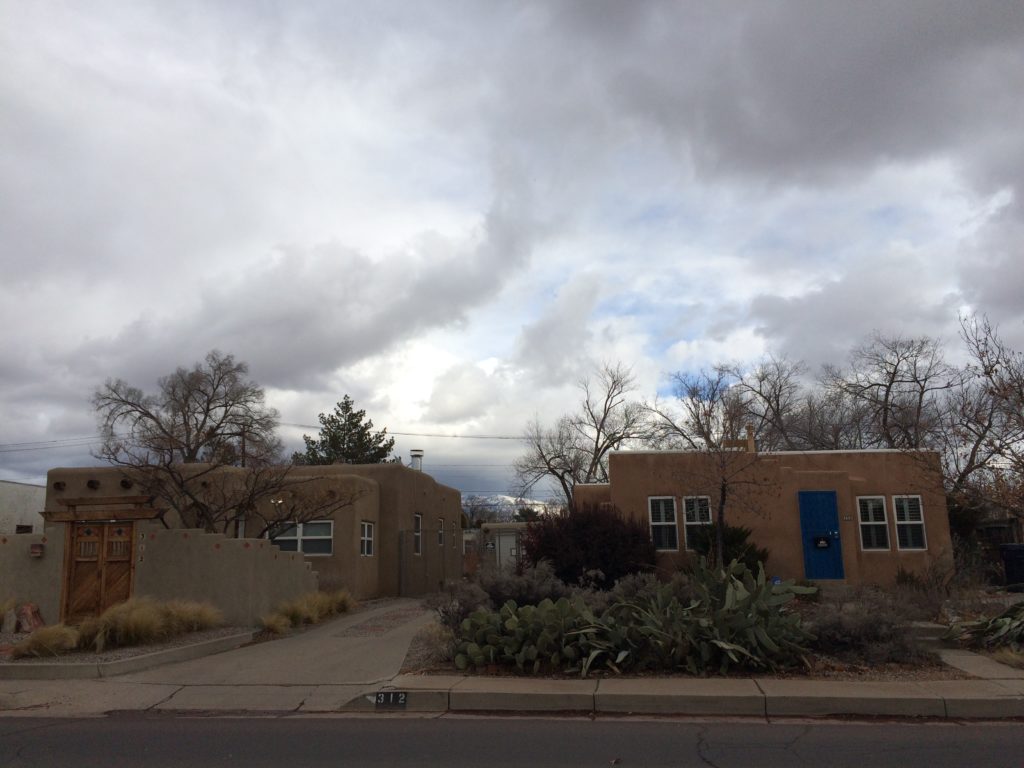 Albuquerque Cactus Yard