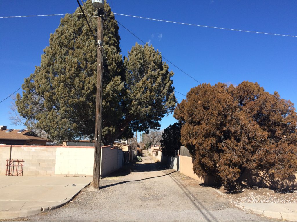 Albuquerque Alley