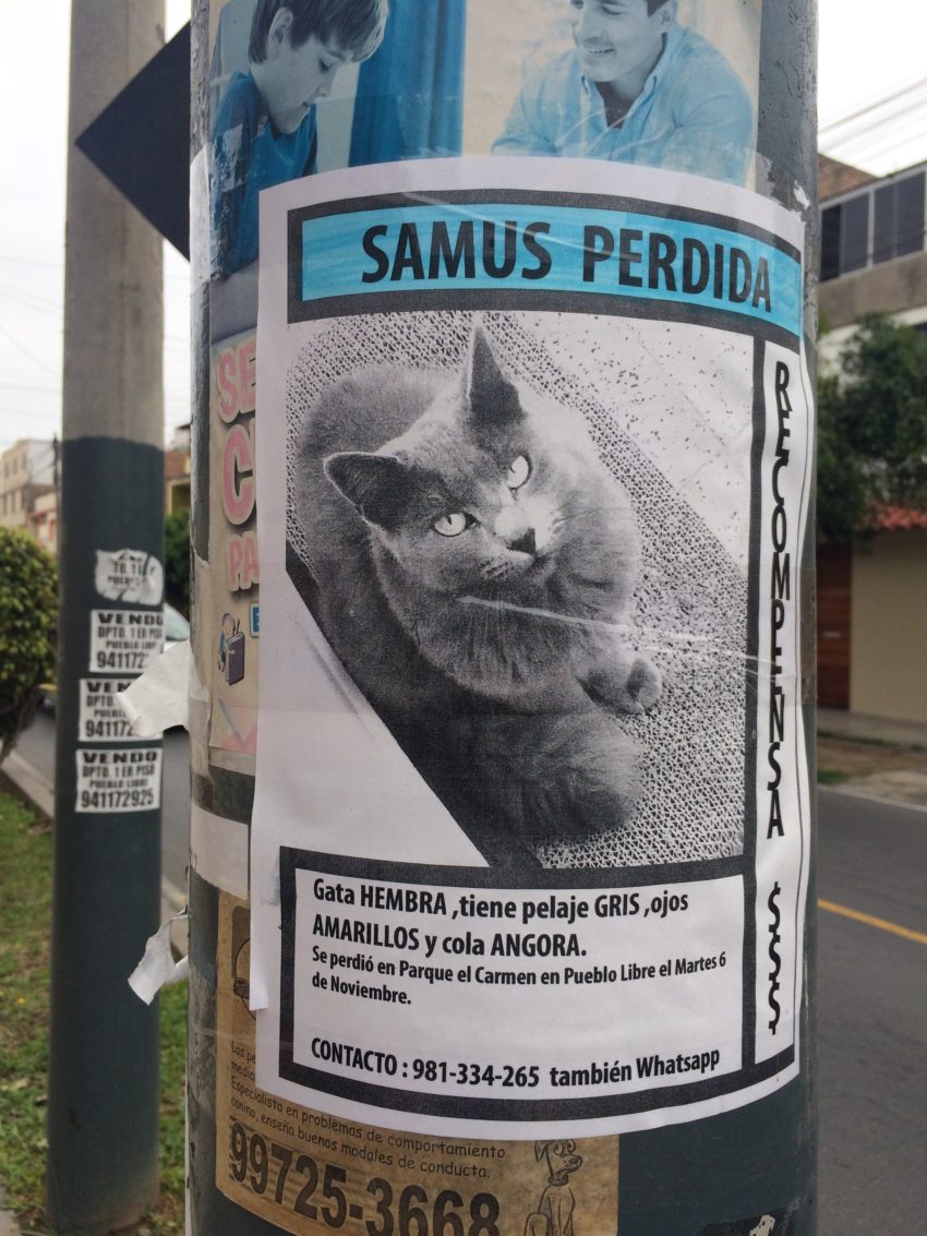Samus Perdida - Lost in Lima