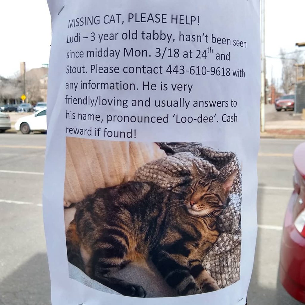 Lost Ludi in Denver