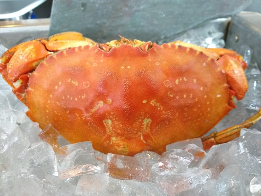 Boiled Crab