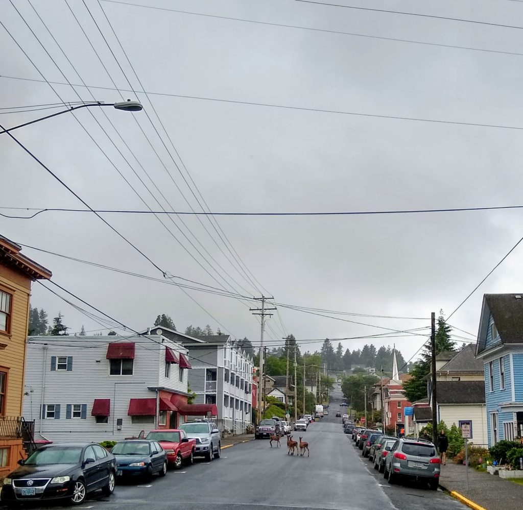 Morning Traffic in Astoria